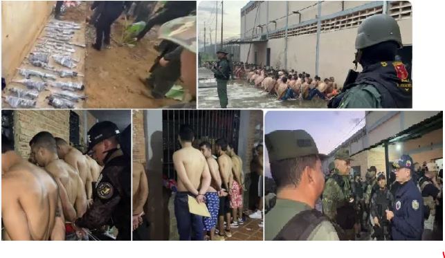 Estas son algunas de las armas encontradas en Tocuyito (+Video) 3 Comando