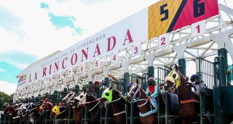 Junta de Comisarios del INH abrió averiguación por la actuación de El Gran Mario 1 La Rinconada 3