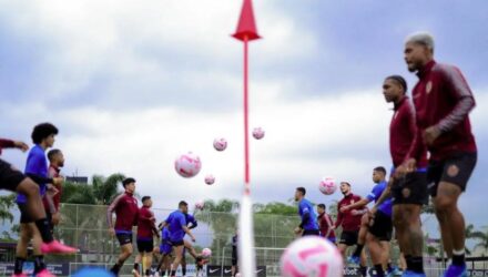 Vinotinto5