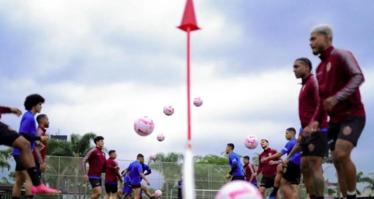 Vinotinto5