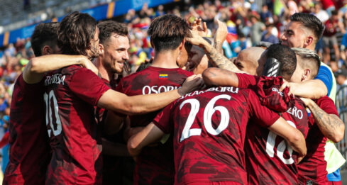 Vinotinto