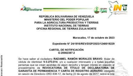 wG04SYCp EL AMAPARO