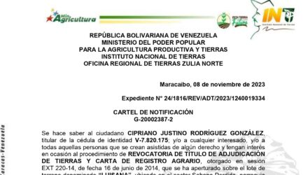 8LCcvdZ1 LUISANA
