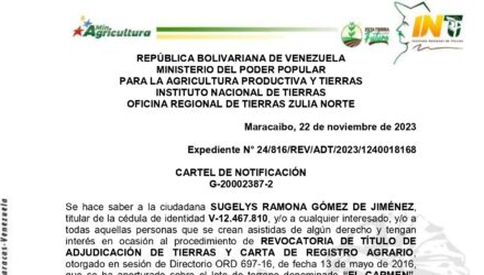 AjZzxwGo EL CARMEN