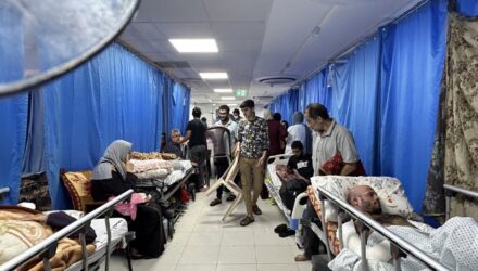 Oms hospitales
