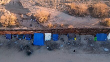 Migrantessss