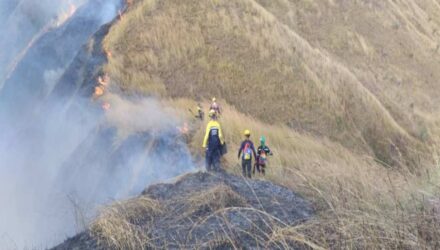 incendio de gran magnitud consumio 250 hectareas del parque henri pittier 139970