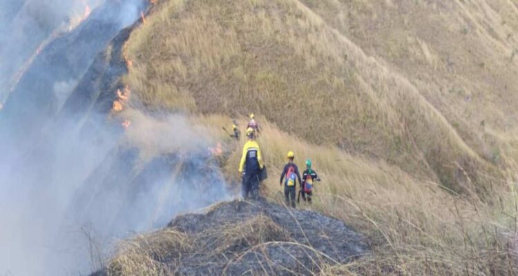 incendio de gran magnitud consumio 250 hectareas del parque henri pittier 139970
