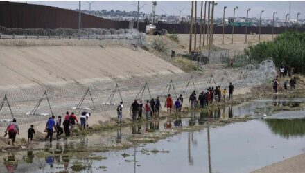 Migrantes