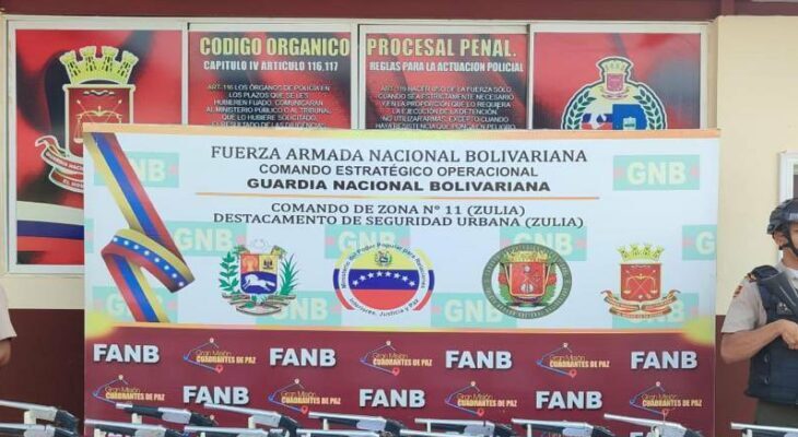 armas de fuego 730x524 1