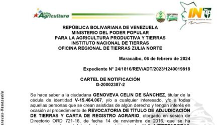 hMEhJtDQ LA LIBERTADORA