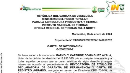 moareU0C MI MUCHACHITA
