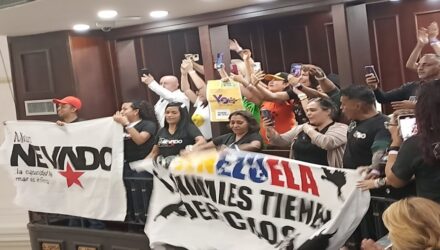 proyecto de ley para el trato digno y responsable de los animales 17409