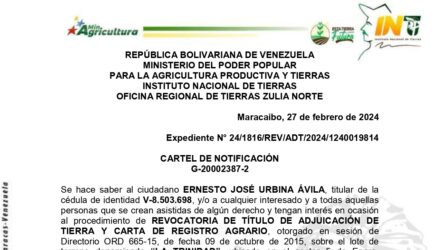 snG33NQl LA TRINIDAD