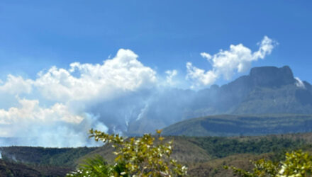 Auyantepuy Canaima 1b