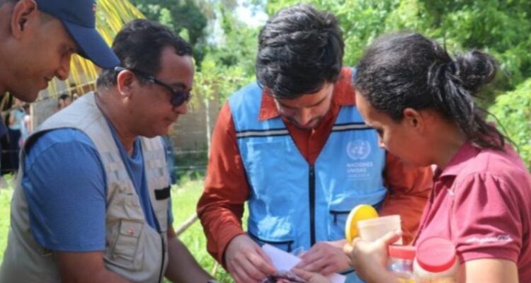ONU: Más de 630.000 venezolanos recibieron ayuda de entes humanitarios en enero 1 Ayuda humanitaria