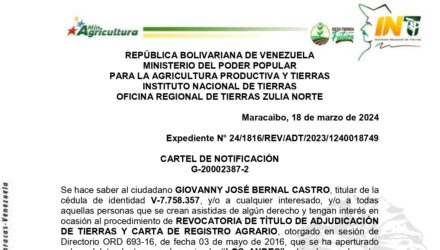 FLq1aIyt LOS ANDES