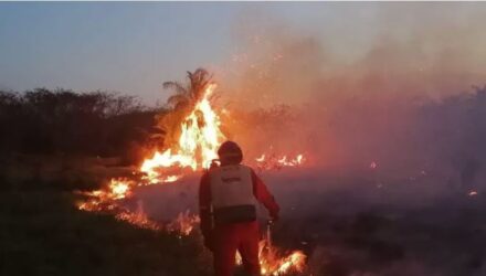 Incendios 22