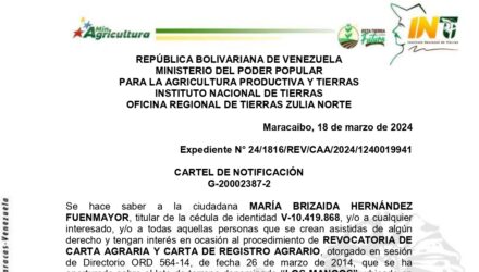 Zi8lZvBK LOS MANGOS