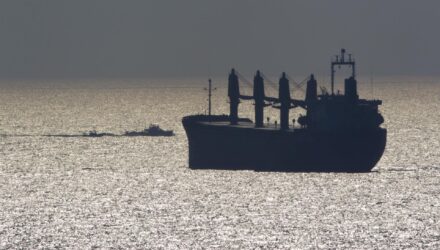 Barcos Gaza