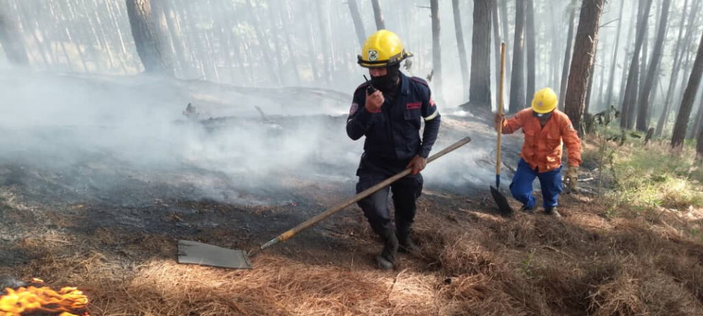 Ministro de Ecosocialismo no descartó que incendios forestales simultáneos en Caracas sean provocados 3 Bomberos incendio