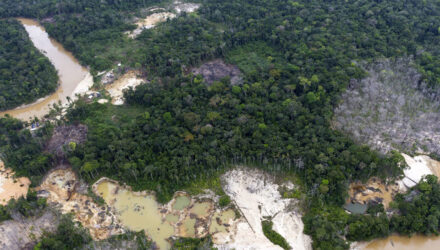 Cambio climatico y deforestacion en Venezuela