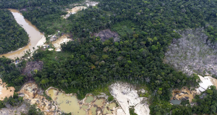 Cambio climatico y deforestacion en Venezuela