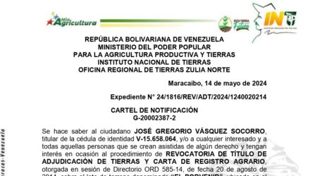 9czBH6Hj EL PORVENIR