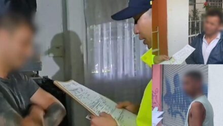 Pedófilos
