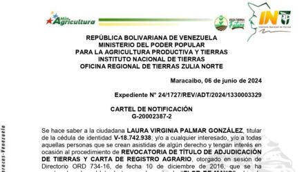 IAgrg1G0 FLOR DE MAYO