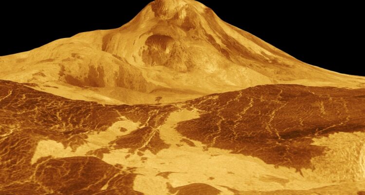 Venus