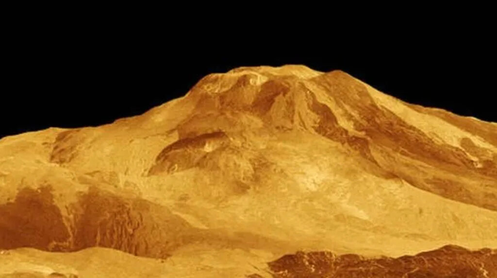 Venus4