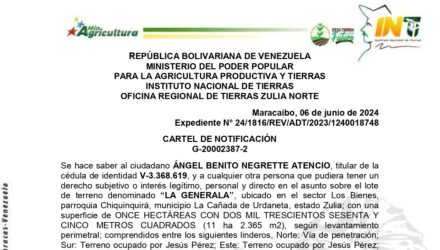 sOYteSzp LA GENERALA