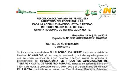 2xpbMRiR CARTEL EL PALOTAL