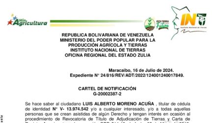 65xqklU4 CARTEL SAN MARTIN