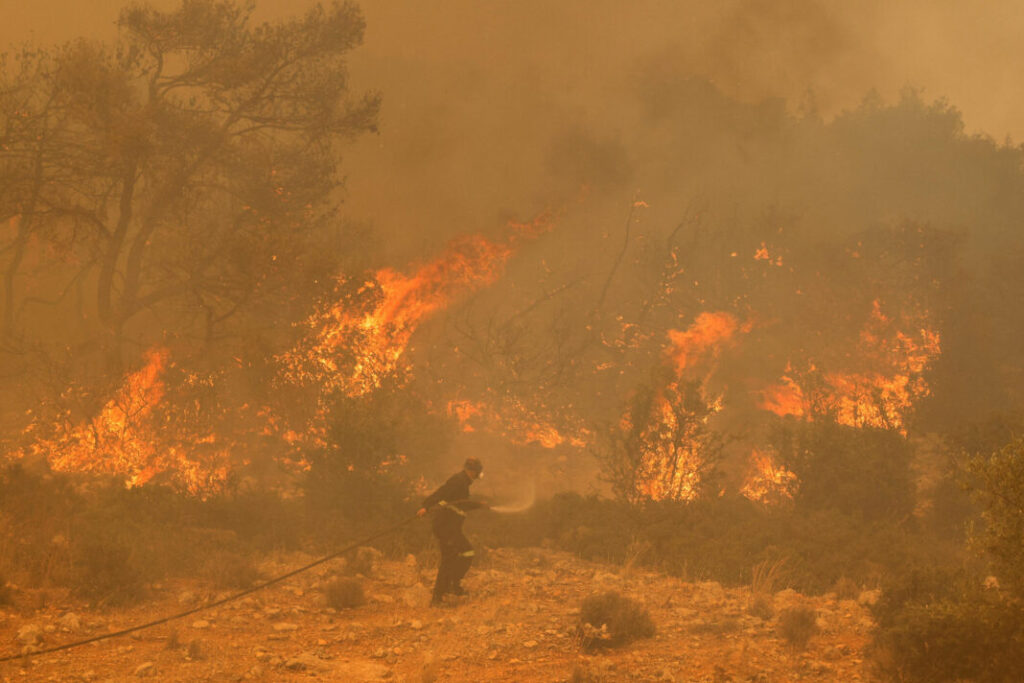 OMS: las olas de calor matan a más de 540.000 personas al año 3 Calor
