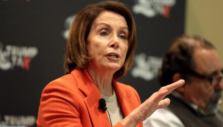 Pelosi