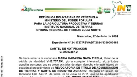 YzUrCnuu CARTEL EL REVOLUCIONARIO page 0001