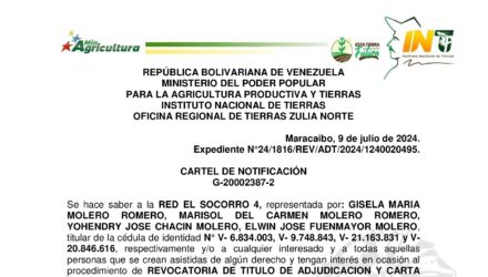 ex6aNmRj CARTEL EL SOCORRO