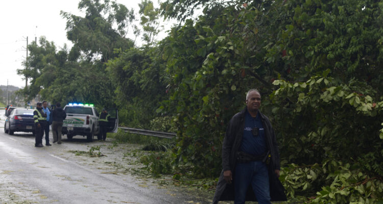 Puerto Rico espera restaurar totalmente el servicio de luz para el domingo tras Ernesto 1 Puerto Rico