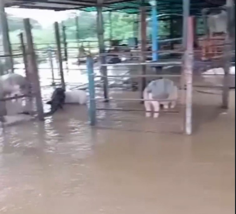 Inundaciones Zulia