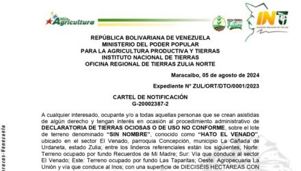 Njyfti6h SN HATO EL VENADO