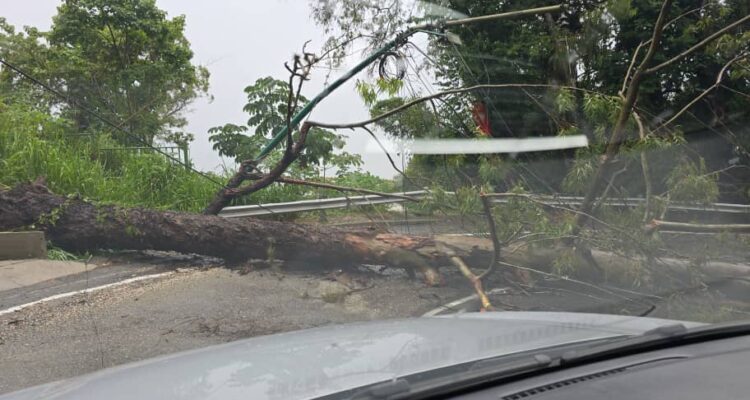 Lluvias provocaron deslaves, inundaciones y caídas de árboles en varias zonas de Caracas (+Videos) 1 Lluvias Caracas
