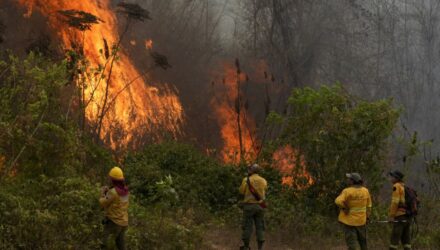 Bolivia incendios