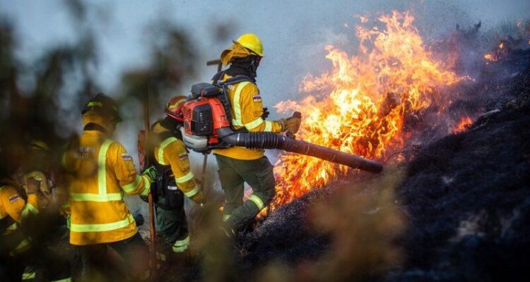 Subió a siete los heridos por incendio en Quito y quedó detenido un sospechoso de causar el fuego 1 Ecuador