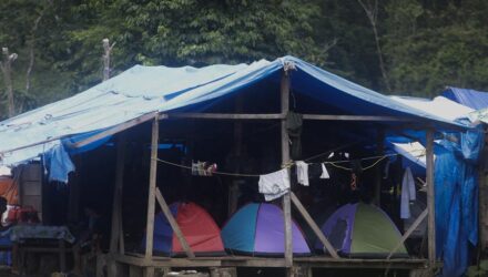 Campamento en el Darién