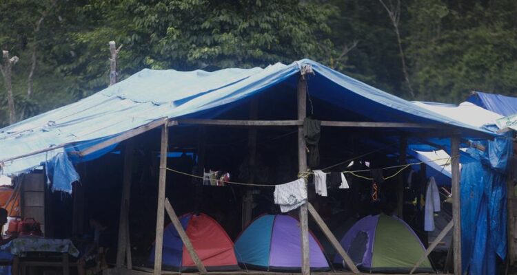 Descubrieron campamento clandestino de migrantes irregulares en selva panameña del Darién 1 Campamento en el Darién