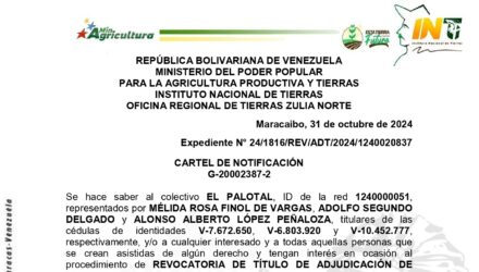 O6talenR EL PALOTAL