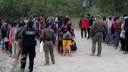 Migrantes
