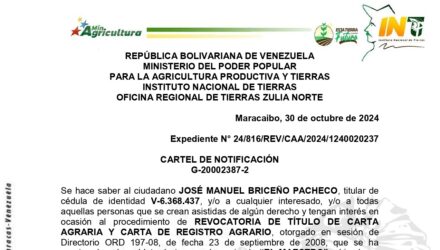 Wb1viOfF EL MAESTRO